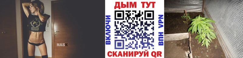 Канабис Amnesia  где купить наркоту  Щигры 